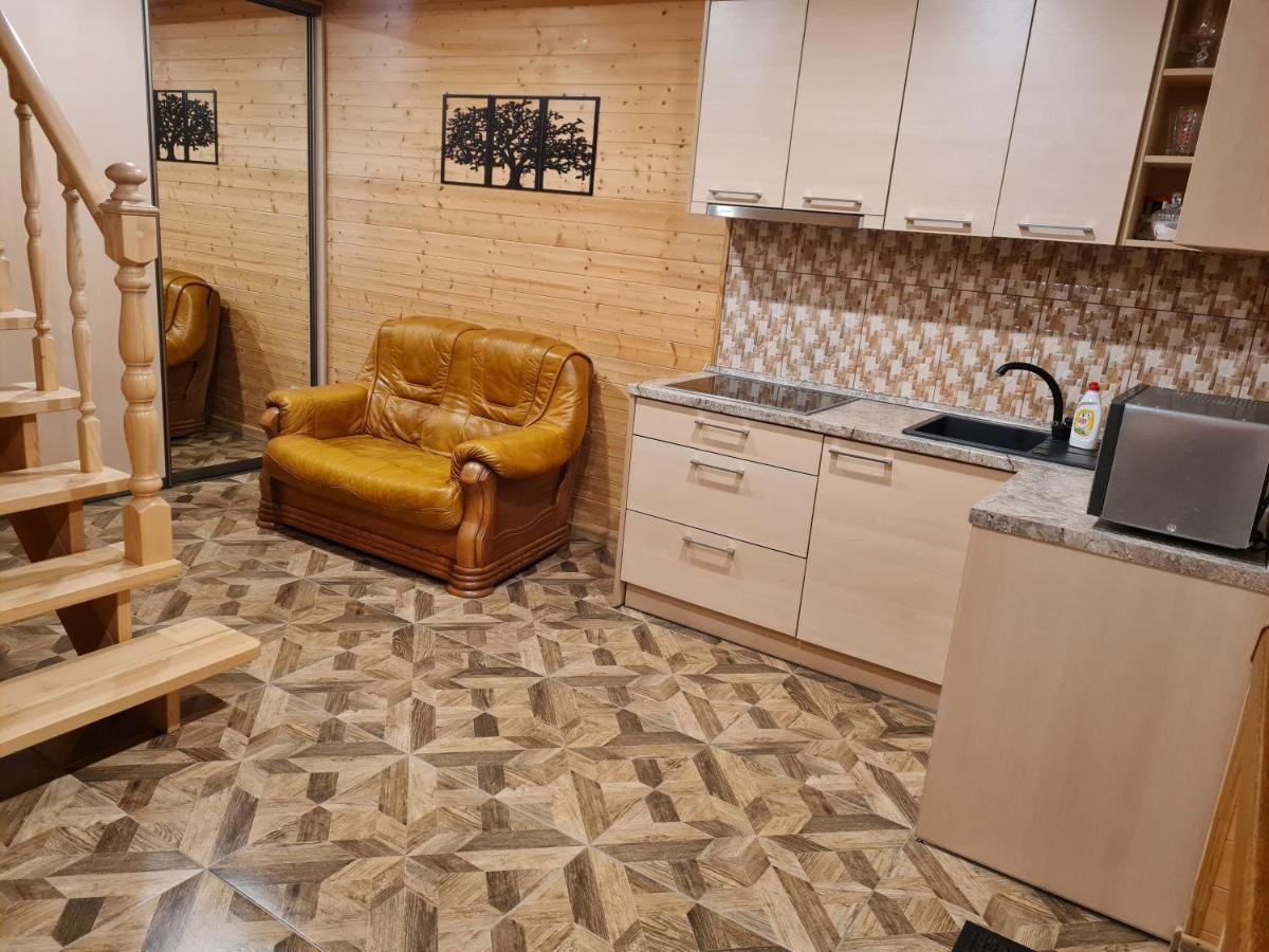 Apartamentai Renata دروسكينينكاي المظهر الخارجي الصورة