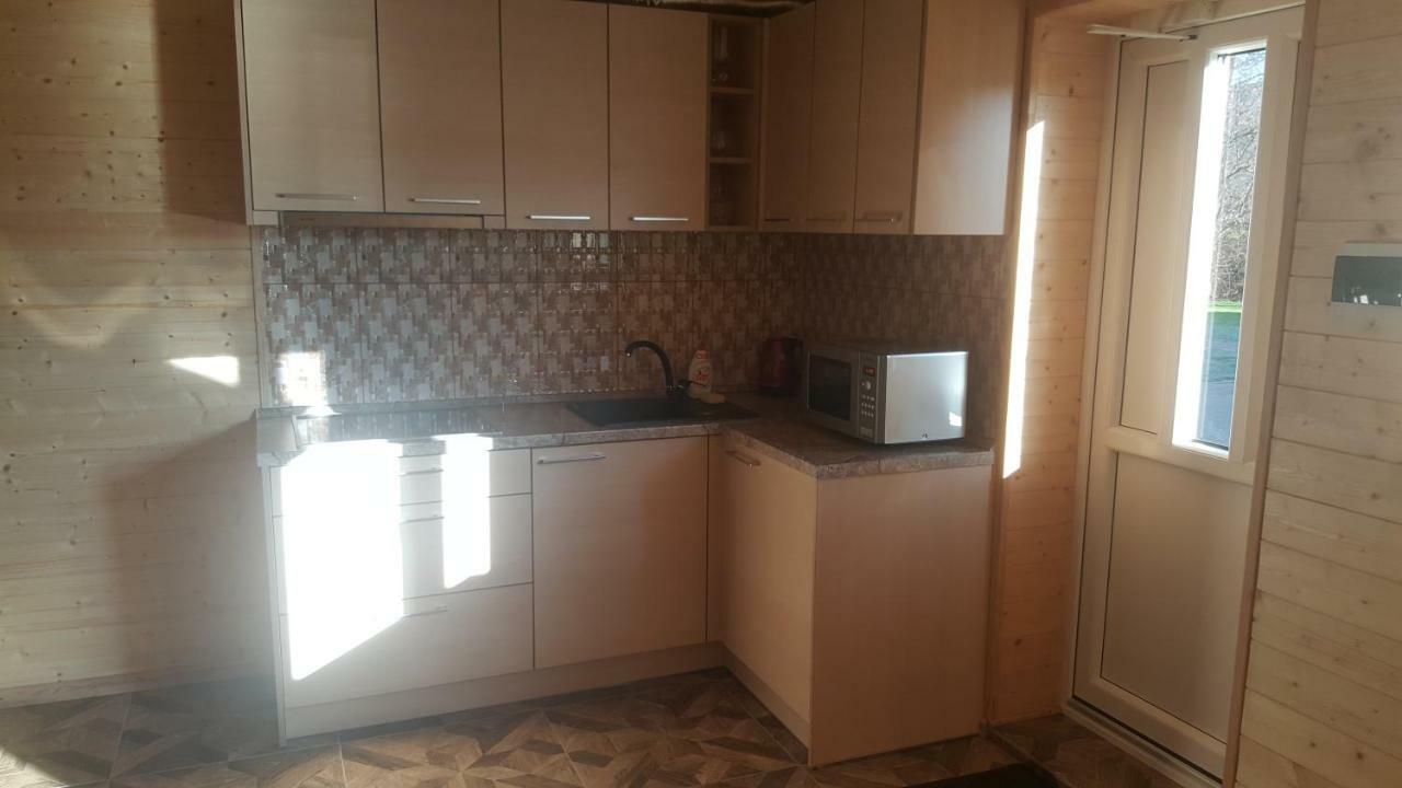 Apartamentai Renata دروسكينينكاي المظهر الخارجي الصورة